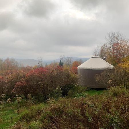 Отель Livingston Manor Yurt Parksville Экстерьер фото