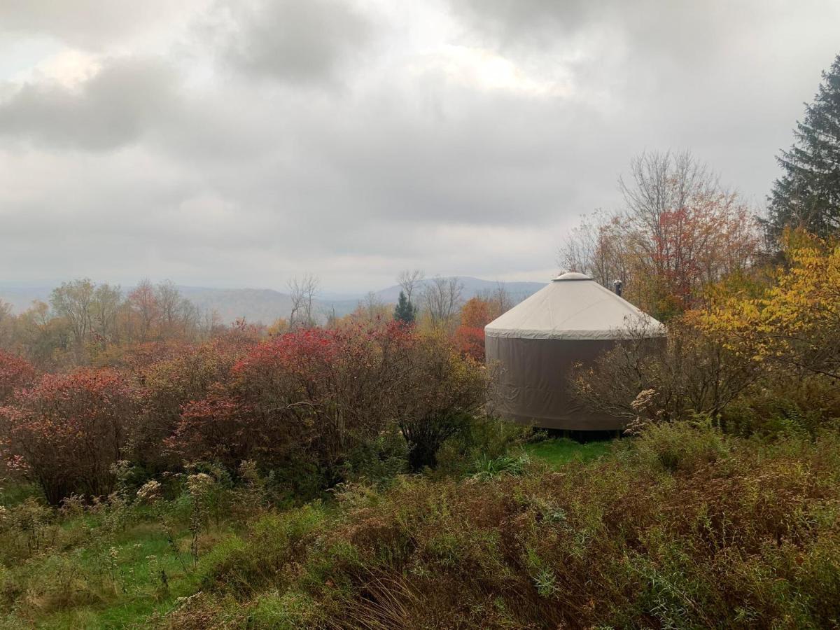 Отель Livingston Manor Yurt Parksville Экстерьер фото
