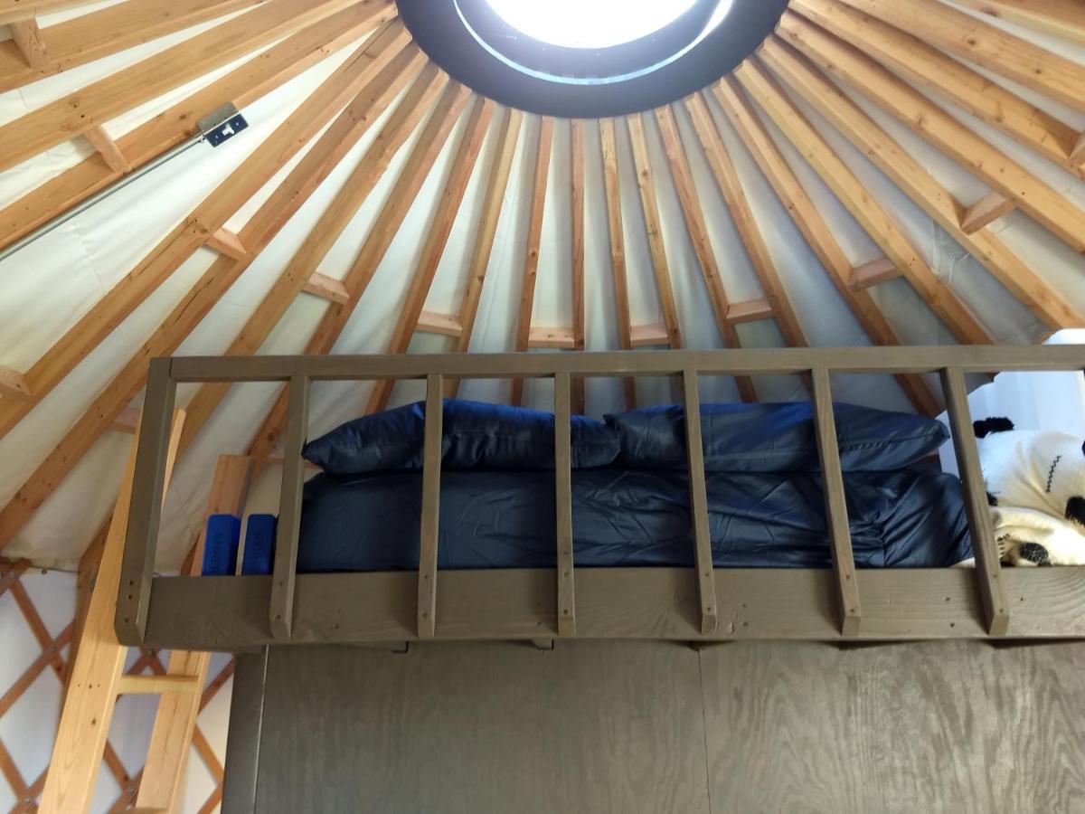 Отель Livingston Manor Yurt Parksville Экстерьер фото