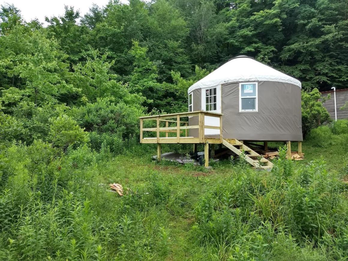 Отель Livingston Manor Yurt Parksville Экстерьер фото